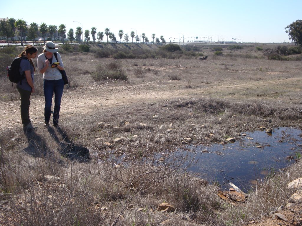 Otay Mesa