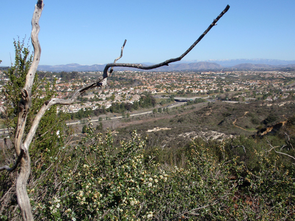 Carmel Mountain overlook