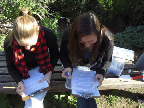 Students at Rose Creek