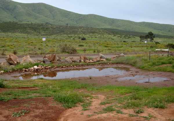 Proctor Valley vernal pool