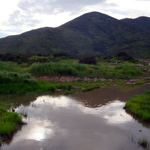 Proctor Valley vernal pool